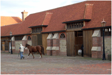 New Stud Farm Building